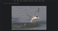 Desktop Screenshot of alguazul.com