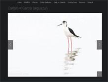 Tablet Screenshot of alguazul.com